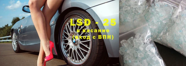 стаф Арсеньев