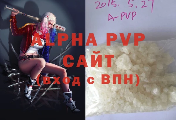 стаф Арсеньев