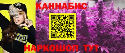 СК Донской