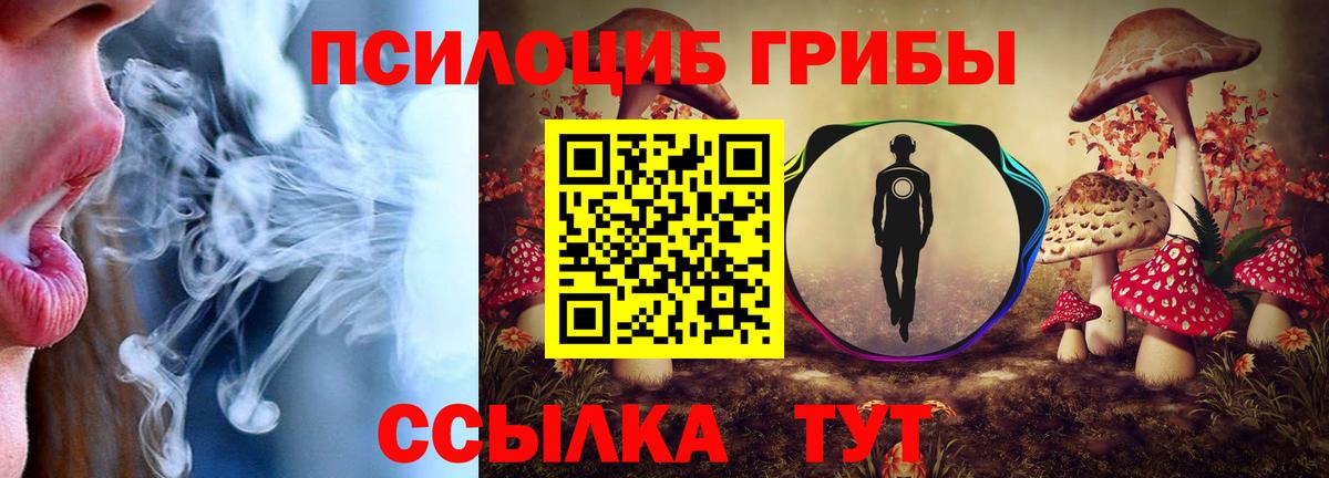 Галлюциногенные грибы MAGIC MUSHROOMS  Вход с VPN  Унеча 