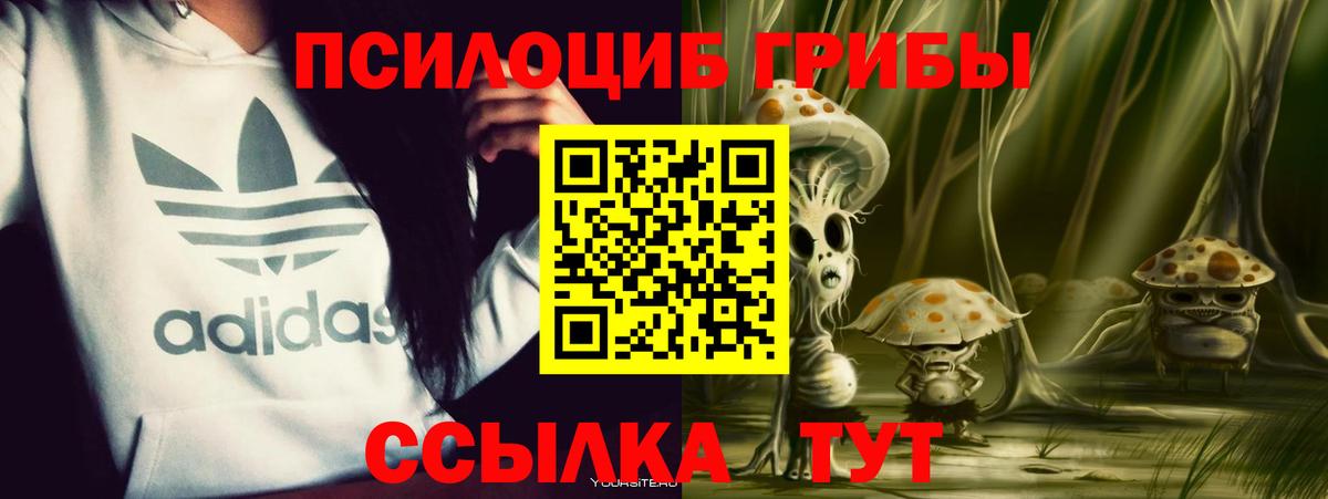 ГАШИШ  ЭКСТАЗИ  Бошки Шишки  Меф МЯУ МЯУ   NBOMe  Cocaine  Унеча  Вход с VPN 